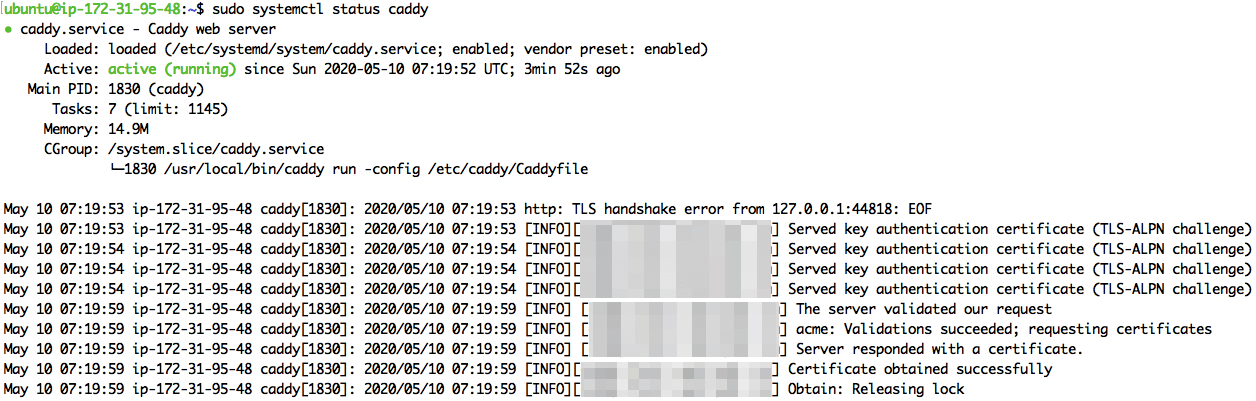 Caddy obtaining a SSL certificate