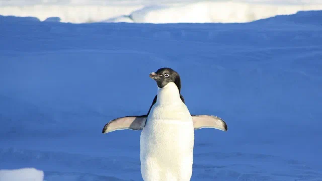 A Guide to the Linux "Top" Command